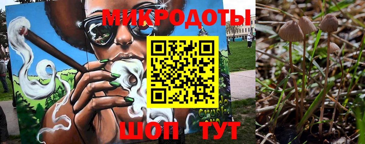 Галлюциногенные грибы прущие грибы Кондопога