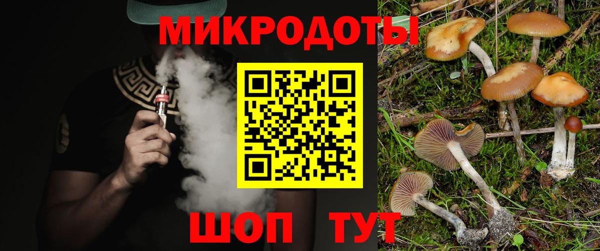 Кондопога  Псилоцибиновые грибы мухоморы  Вход с VPN 
